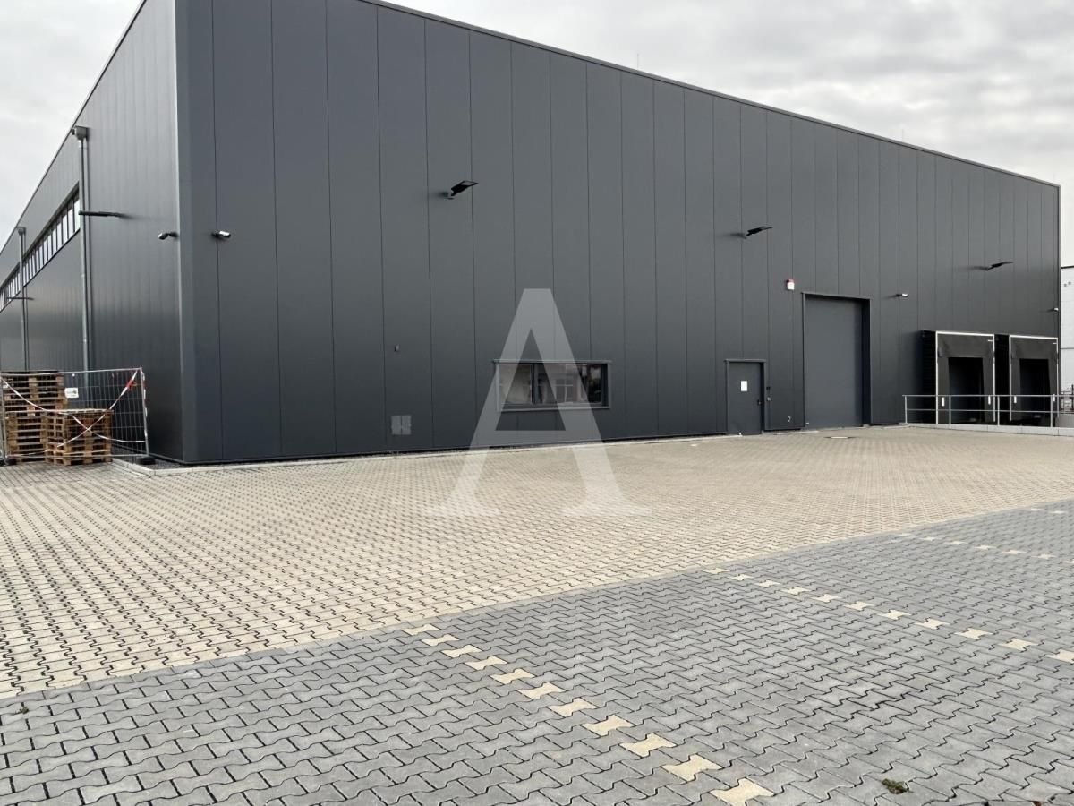 Halle/Industriefläche zur Miete 6,50 € 2.500 m²<br/>Lagerfläche ab 2.500 m²<br/>Teilbarkeit Spich Troisdorf 53842