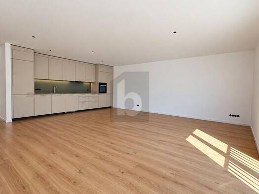 Wohnung zur Miete 1.370 € 3 Zimmer 102 m² Tiengen Waldshut-Tiengen 79761