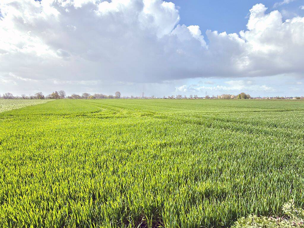 Land-/Forstwirtschaft zum Kauf - Ansicht 5