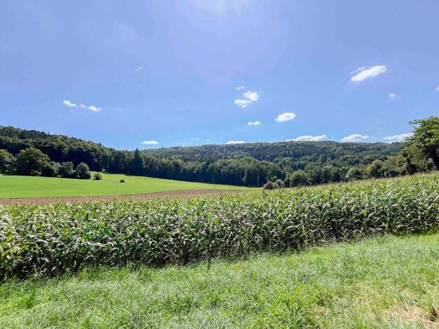 Einfamilienhaus zum Kauf 149.999 € 3 Zimmer 69,8 m² 888,1 m² Grundstück Oberwall Berg bei Neumarkt in der Oberpfalz 92348