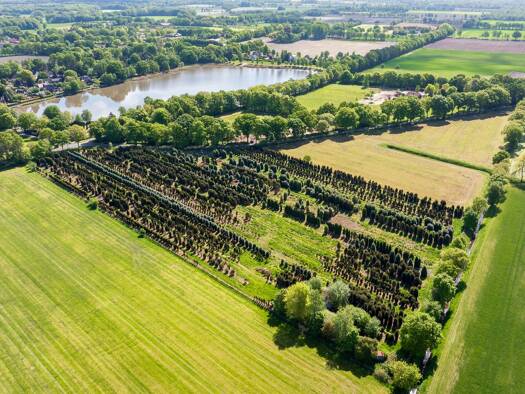 Land-/Forstwirtschaft zum Kauf provisionsfrei Westerstede 26655