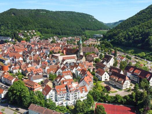 Terrassenwohnung zum Kauf 235.000 € 2,5 Zimmer 85 m² frei ab sofort Bad Urach 72574