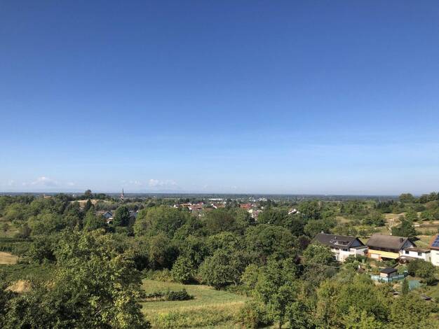 Maisonette zur Miete 1.350 € 5 Zimmer 196 m² 1. Geschoss frei ab 01.10.2026 Steinbach Baden-Baden 76534
