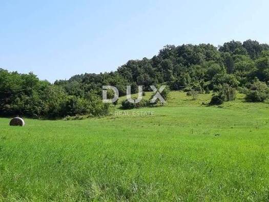 Haus zum Kauf 333.000 € 4 Zimmer 172 m² Pazin