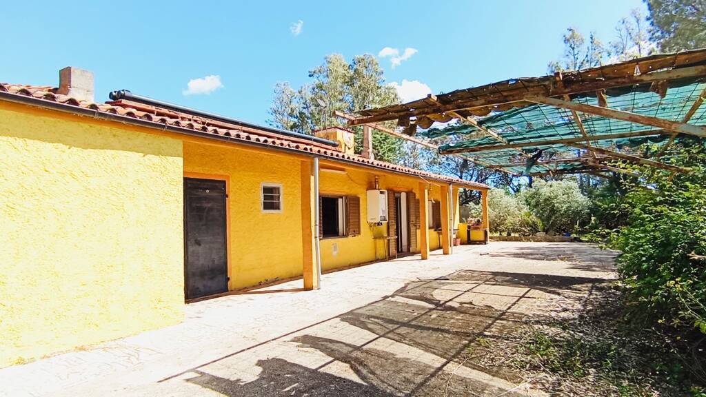 Grundstück zum Kauf 115.000 € 40.000 m² Grundstück Berchidda - SARDINIEN