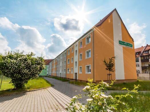 Wohnung zur Miete 320 € 2 Zimmer 55 m² EG frei ab sofort Promenade 43 Oschatz 04758