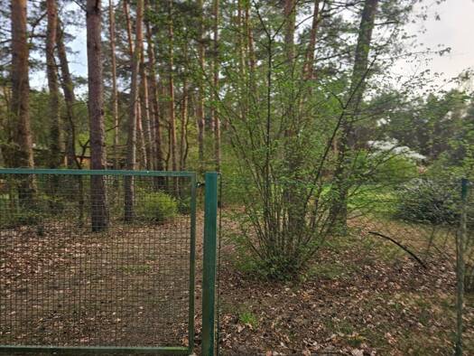 Freizeitgrundstück zum Kauf 96.000 € 970 m² Grundstück Steinfurt Gosen-Neu Zittau 15537