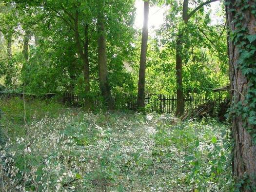 Grundstück zum Kauf 375.300 € 834 m² Grundstück Waldesruh Hoppegarten 15366