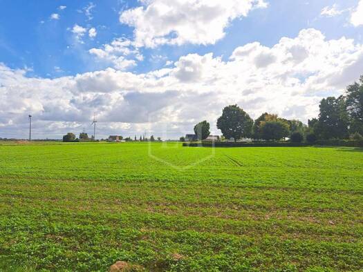 Landwirtschaftliche Fläche zum Kauf 70.000 € 6.346 m² Grundstück Oberzier Niederzier 52382