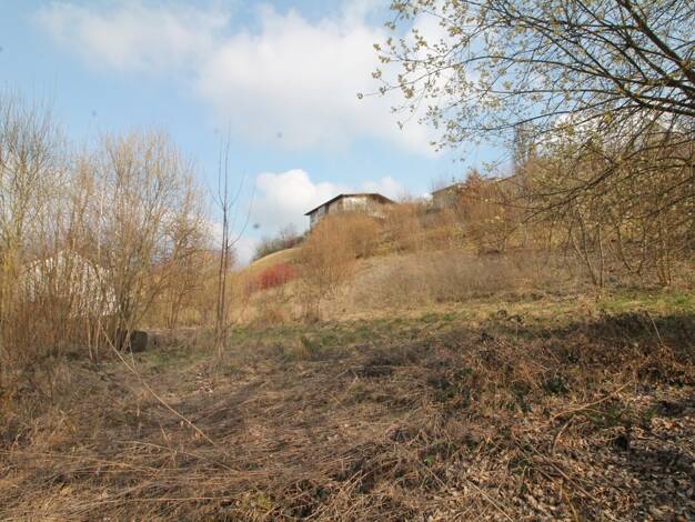 Grundstück zum Kauf 535.000 € 2.725 m² Grundstück Altstadt Passau 94036