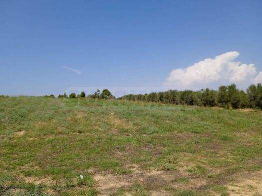 Landwirtschaftliche Fläche zum Kauf 220.000 € Municipality of Rethymnon