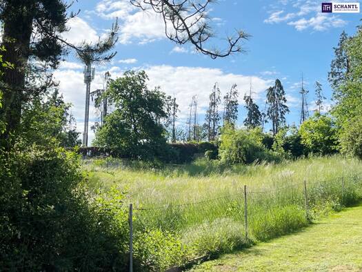 Wohnung zum Kauf - Erstbezug 560.000 € 4 Zimmer 83 m² EG Petersbergenstraße Sankt Peter Graz 8042