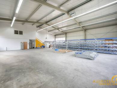 Lagerhalle zur Miete 4.100 € 600 m² Lagerfläche Langquaid Langquaid 84085
