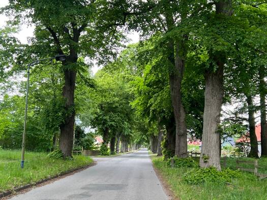Mehrfamilienhaus zum Kauf 396.000 € 20 Zimmer 1.400 m² 48.238 m² Grundstück Tentzerow Hohenmocker 17111