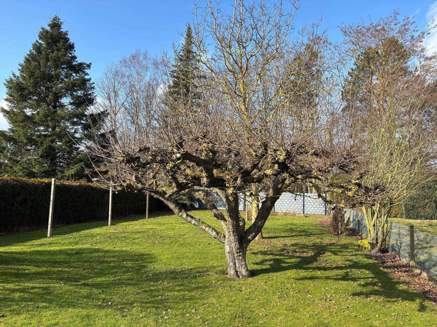 Immobilie in Neustadt in Holstein - Ostholstein ist schön: 5-Zi.-DHH mit Garage & schönem Garten direkt am Neustädter Binnenwasser zu kaufen! - Bild 2