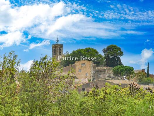 Reihenmittelhaus zum Kauf 495.000 € 12 Zimmer 180 m² 324 m² Grundstück Saint-Pons-de-Mauchiens 34230