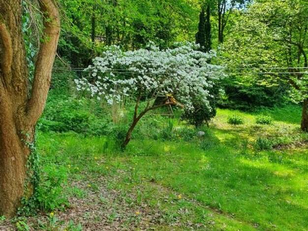Grundstück zum Kauf provisionsfrei 630.000 € 1.654 m² Grundstück Heiligensee Reinickendorf 13503