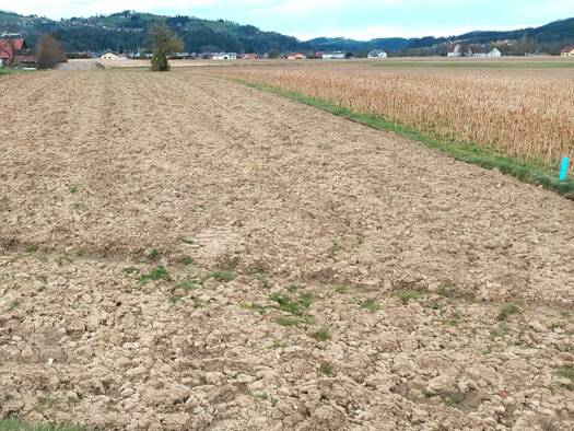 Grundstück zum Kauf 45.000 € 600 m² Grundstück Gleinstätten 8443