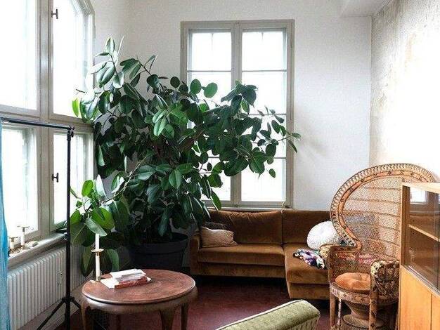 Bürogebäude zur Miete provisionsfrei 13 € 78 m² Bürofläche Freienwalder Str. 17 Alt-Hohenschönhausen Berlin 13055