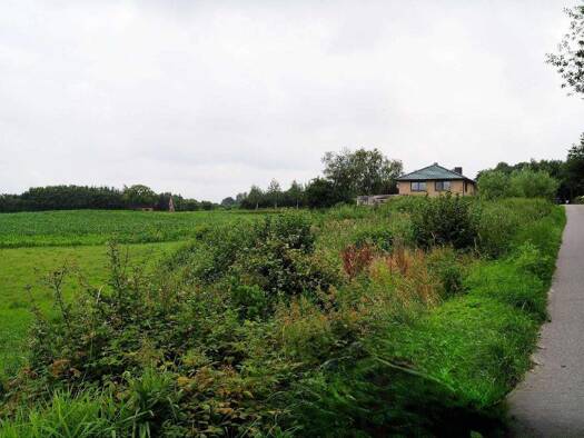 Grundstück zum Kauf 16.000 € 1.695 m² Grundstück Klappholz 24860