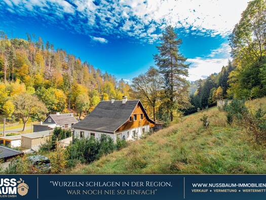 Einfamilienhaus zum Kauf 89.000 € 4 Zimmer 115 m² 5.590 m² Grundstück Gebersdorf 5 Gebersdorf Gräfenthal 98743