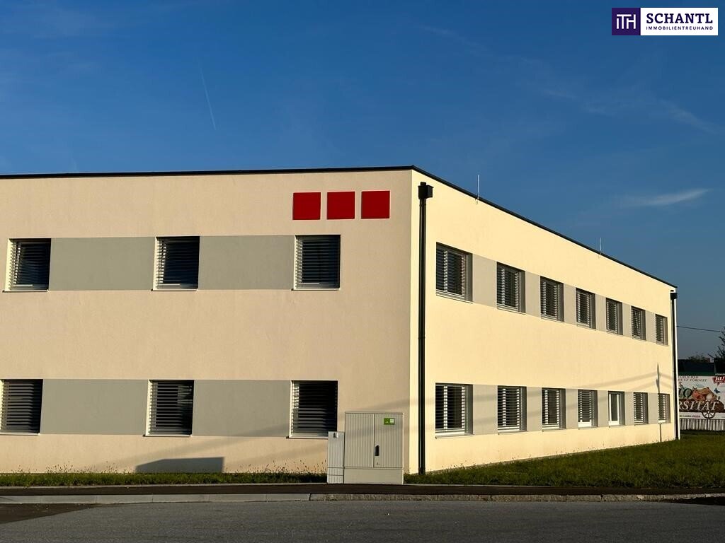 Büro-/Praxisfläche zum Kauf 3.000 € 219,9 m²<br/>Bürofläche Fasangasse Kalsdorf bei Graz 8401