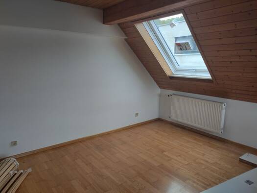 Wohnung zur Miete 500 € 2 Zimmer 60 m² Geschoss 1/1 frei ab sofort Krenkingen Waldshut-Tiengen 79761