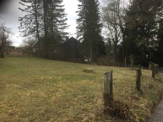 Haus kaufen in Wurzbach Wurzbach immowelt