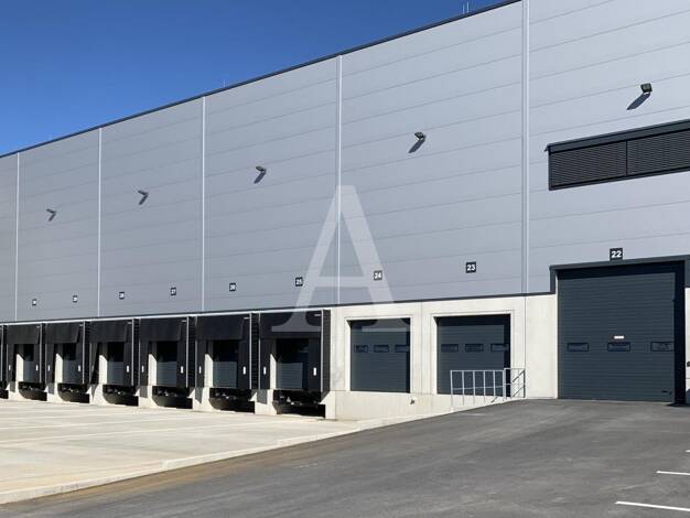 Halle/Industriefläche zur Miete provisionsfrei 9.841 m² Lagerfläche Heerdt Düsseldorf 40549