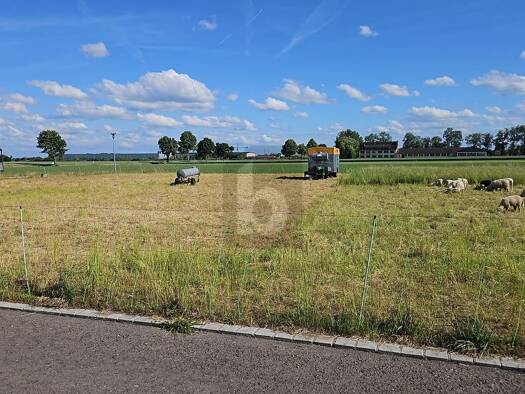 Grundstück zum Kauf 170.000 € 579 m² Grundstück Berkheim 88450