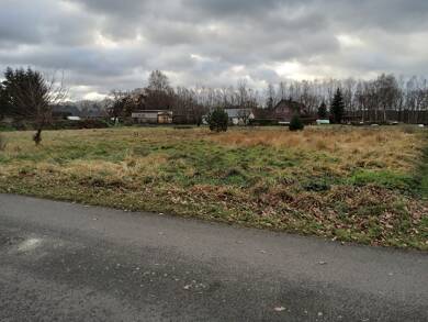 Grundstück zum Kauf 69.000 € 2.600 m² Grundstück Bresegard Bresegard 19294