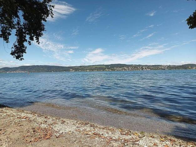 Wohnung zur Miete 942 € 1,5 Zimmer 37,9 m² EG Wallhausen Konstanz 78465