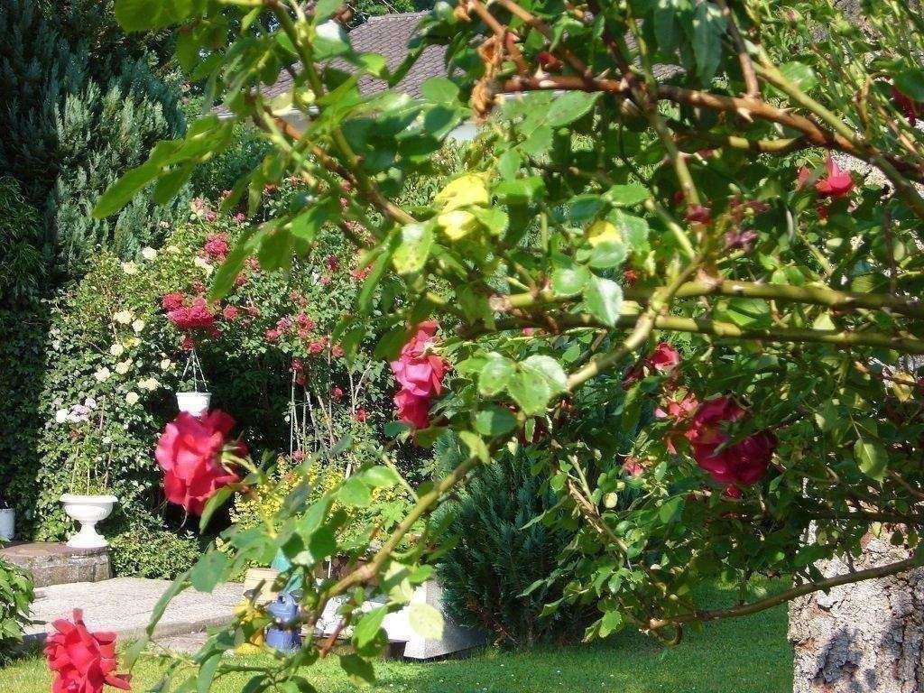 Immobilie in Bruckmühl - Renovierungsbedürftige Zweifamilienhaus 172 m² Wohnfläche mit ca. 606 m² Grundstück in Bruckmühl - Bild 0