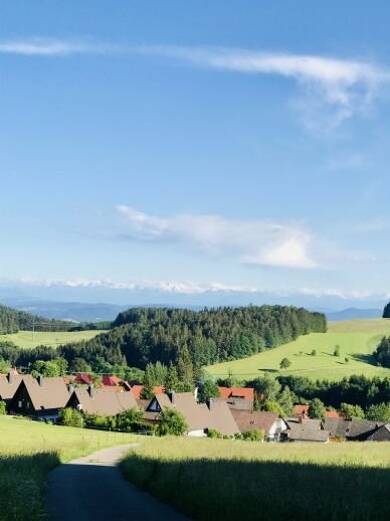 Wohnung zur Miete 630 € 2 Zimmer 55,5 m² Souterrain frei ab sofort Tannenweg 8 Niedergebisbach Herrischried 79737