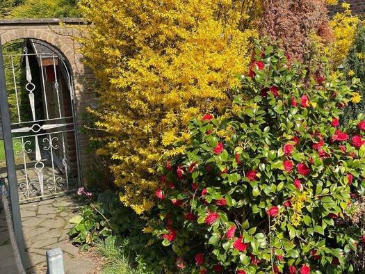 Einfamilienhaus zum Kauf 349.000 € 6 Zimmer 140 m² 628 m² Grundstück frei ab sofort Rödingen Titz 52445