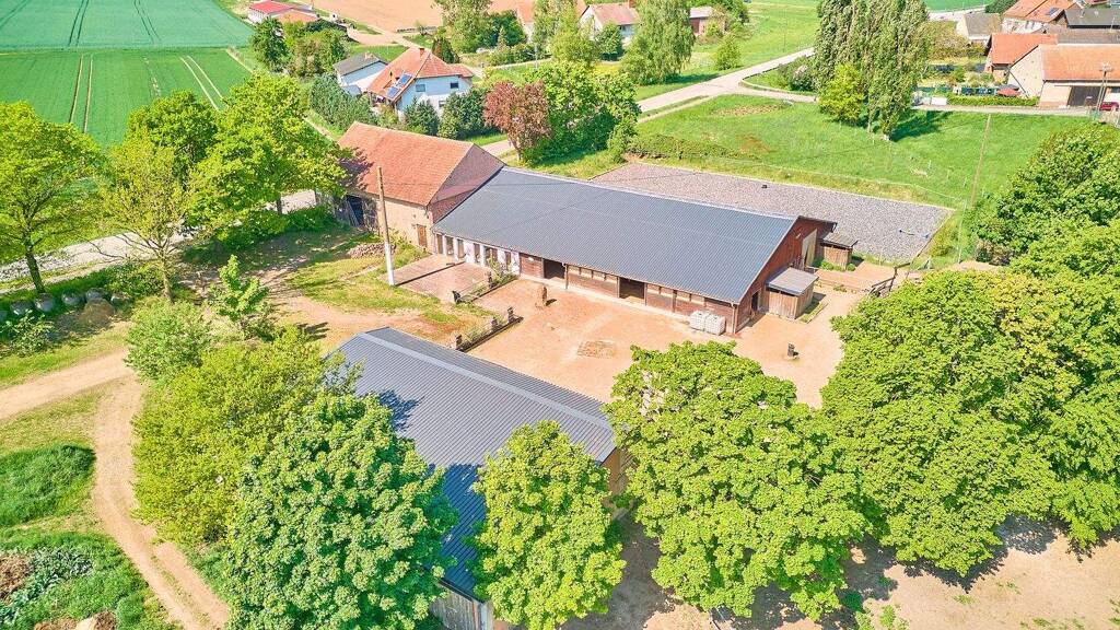 Land-/Forstwirtschaft zum Kauf 1.350.000 € 55.909 m² Grundstück Katzenbach Hütschenhausen 66882