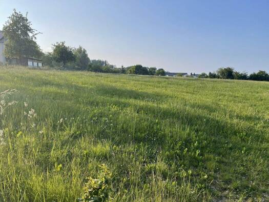 Land-/Forstwirtschaft zum Kauf 105.063 € 50.030 m² Grundstück Eigelscheid Winterspelt 54616