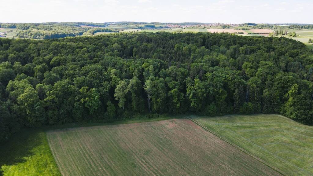 Gewerbegrundstück zum Kauf 21.452 € 4.767 m² Grundstück Auernheim Treuchtlingen Auernheim 91757