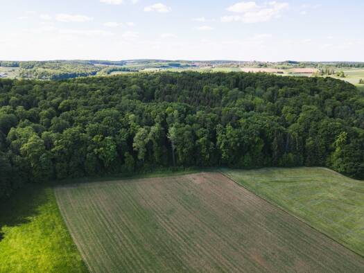 Gewerbegrundstück zum Kauf 21.452 € 4.767 m² Grundstück Auernheim Treuchtlingen 91757