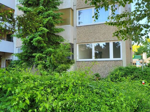 Wohnung zum Kauf provisionsfrei 199.900 € 4 Zimmer 88,3 m² EG Elmshorner Straße 15 Pinneberg 25421