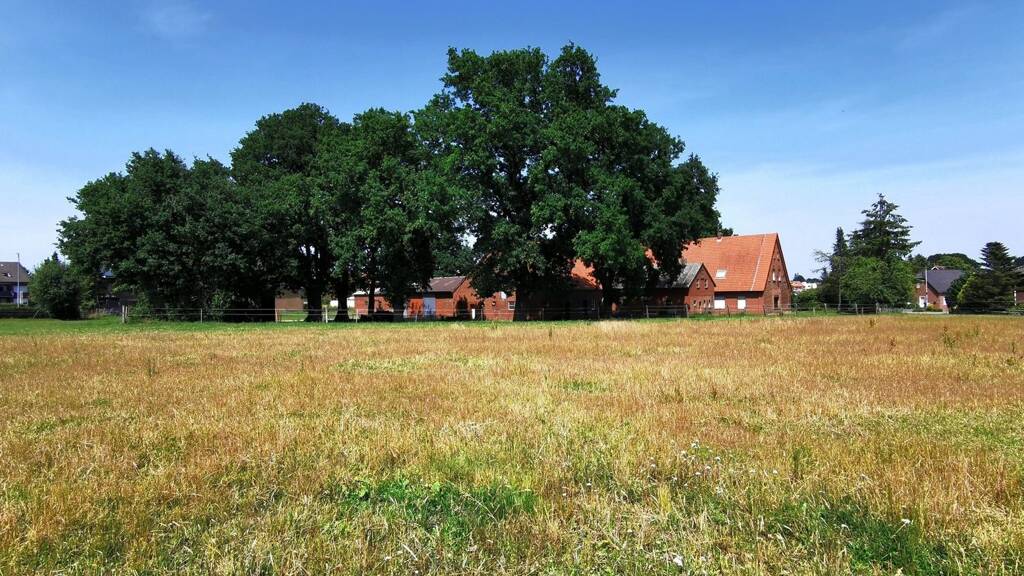 Bauernhaus zum Kauf 9 Zimmer 11.063 m² Grundstück Freren 49832