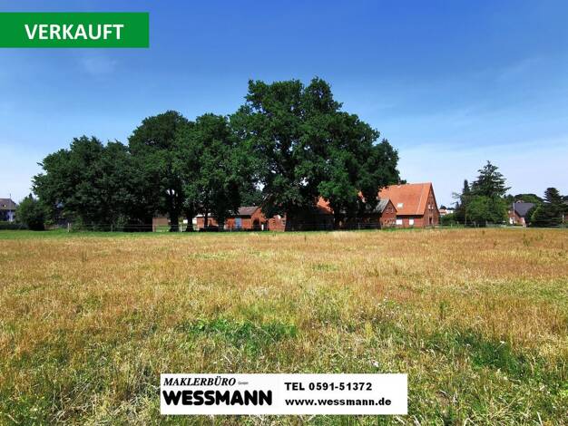 Bauernhaus zum Kauf 9 Zimmer 11.063 m² Grundstück Freren Freren 49832