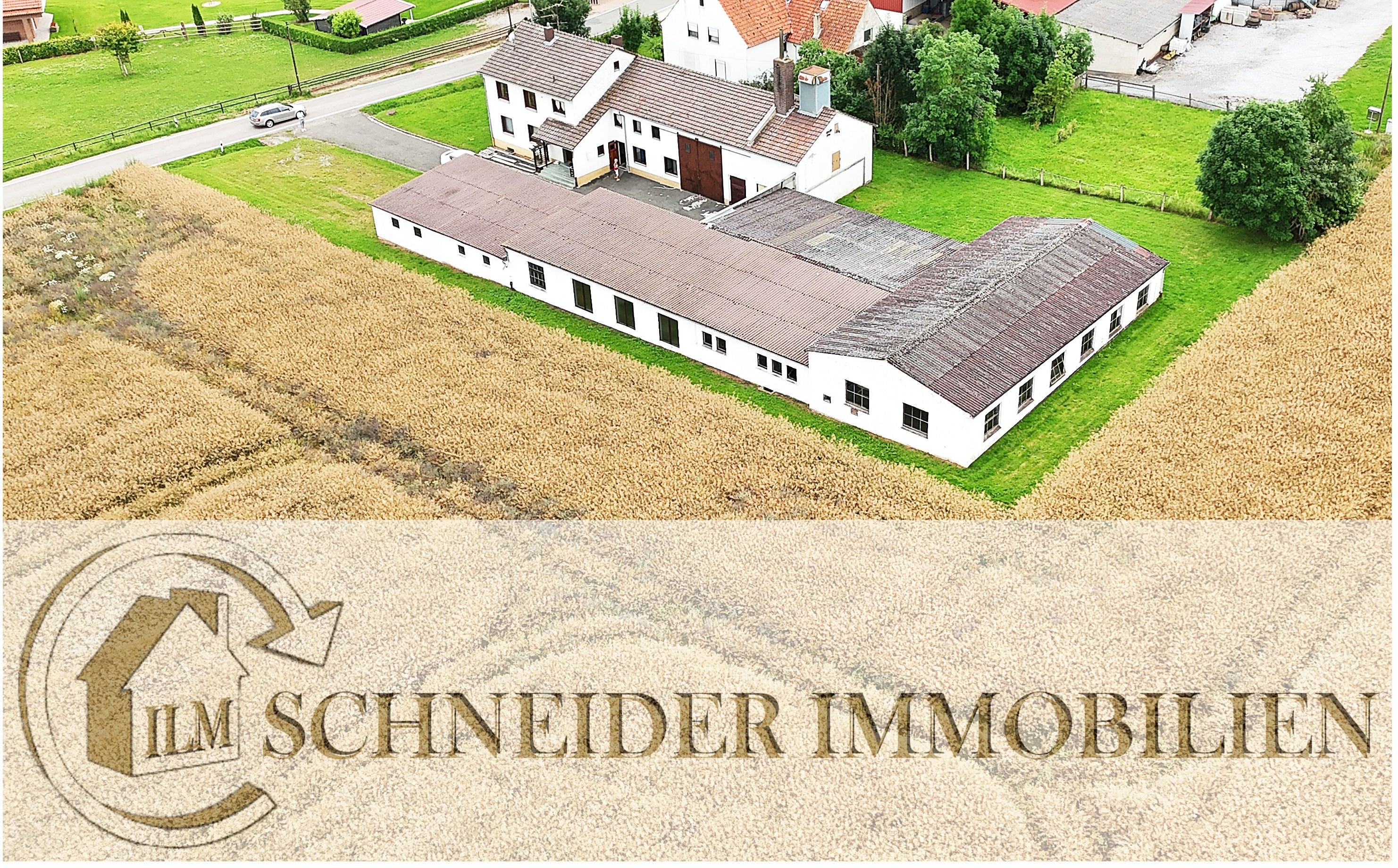 Haus zum Kauf 348.000 € 1.000 m²<br/>Wohnfläche 2.500 m²<br/>Grundstück Hörler Straße 12 Welda Warburg 34414