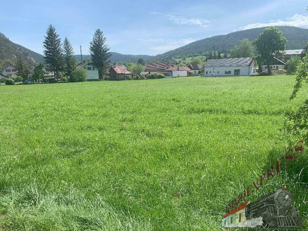 Grundstück zum Kauf 899.000 € 12.700 m²<br/>Grundstück Puchberg am Schneeberg 2734