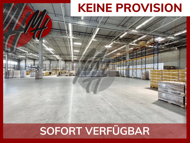 Halle/Industriefläche zur Miete provisionsfrei 5.000 m² Lagerfläche teilbar ab 2.500 m² Friedewald Friedewald 36289