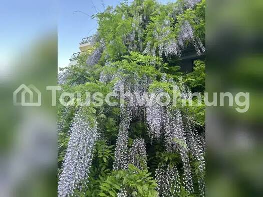 Wohnung zur Miete Tauschwohnung 526 € 1 Zimmer 36 m² 2. Geschoss Rieselfeld Freiburg im Breisgau 79111