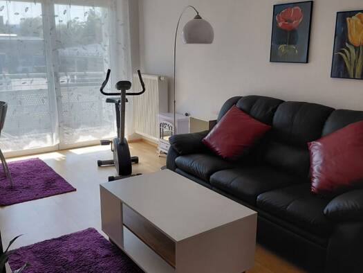 Wohnung zur Miete 500 € 2 Zimmer 53 m² 1. Geschoss Regen Regen 94209