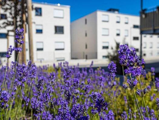 Wohnung zur Miete 572 € 3 Zimmer 83 m² EG frei ab 01.01.2026 Charles-Mannay-Straße  52 Weismark-Feyen Trier 54294