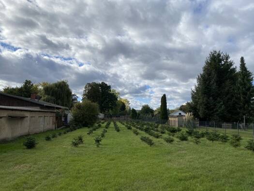 Grundstück zum Kauf 105.880 € 541 m² Grundstück Ramsdorf Regis-Breitlingen 04565