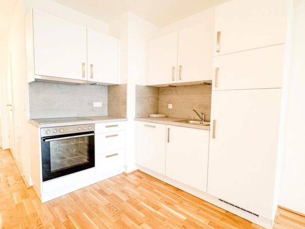 Wohnung zur Miete 1.950 € 3,5 Zimmer 60 m² 2. Geschoss Wien 1080